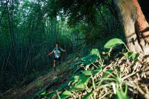 BIB: 
                            <button type="button" onclick="openModal(28124208)" class="btn btn-primary btn-sm float-right btn-popup" data-toggle="modal" data-target=".modal-high-quality">
                        <i class="fas fa-shopping-cart"></i> Add to Cart
                    </button>
                                            <button type="button" onclick="isThisMe(28124208, true)" class="btn btn-success btn-sm float-right btn-popup btn-isme hidden" data-toggle="tooltip" data-placement="bottom" title="นี่คือรูปของคุณใช่ไหม คลิกที่นี่เพื่อเอาเข้าอัลบั้ม">
                        <i class="fas fa-plus"></i> Add to album
                    </button>
                    <button type="button" onclick="isThisMe(28124208, false)" class="btn btn-warning btn-sm float-right btn-popup btn-isnotme hidden">
                        <i class="fas fa-ban"></i> Remove from album
                    </button>